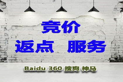 成功运用百度竞价代理，实现品牌快速崛起